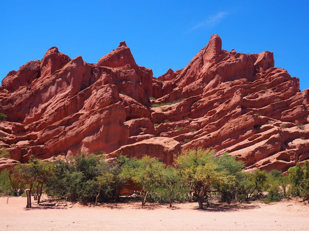 A wall of jagged red rock stands behind a row of trees