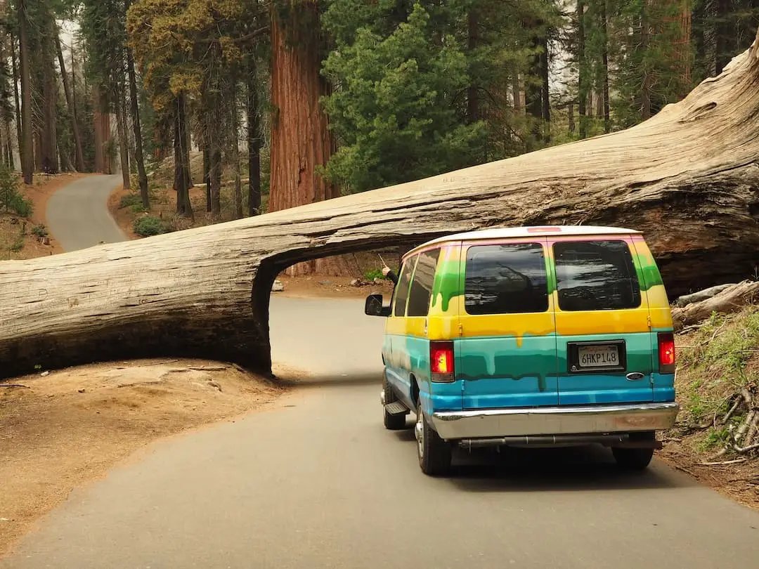 A multi-coloured van is parked in front of a fallen tree across the road, with a tunnel carved through its trunk