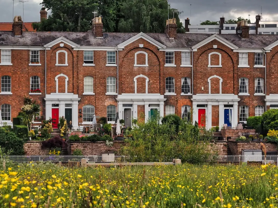 A field with yellow flowers in the foreground with red brick houses with white pillars in the background