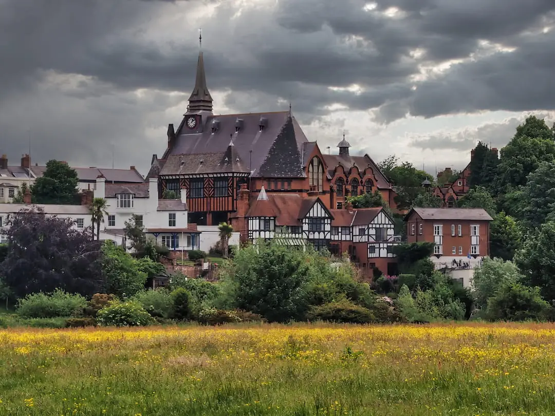 A filed of yellow flowers in the foreground and a large red-bricked building with with a spire in the background