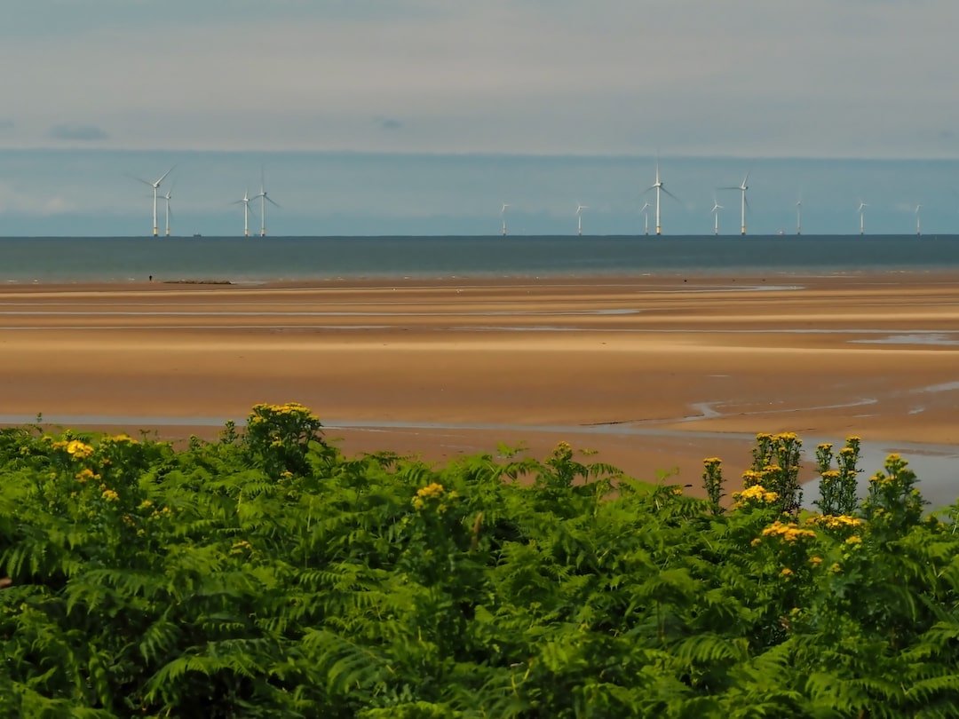 Green foliage in the foreground, a beach in the middle ground, wind turbines out at sea in the background