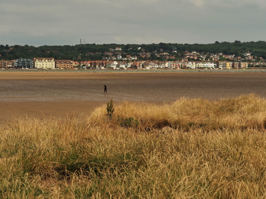 A grassy foreground, a beach in the middle ground and a row of buildings in the background