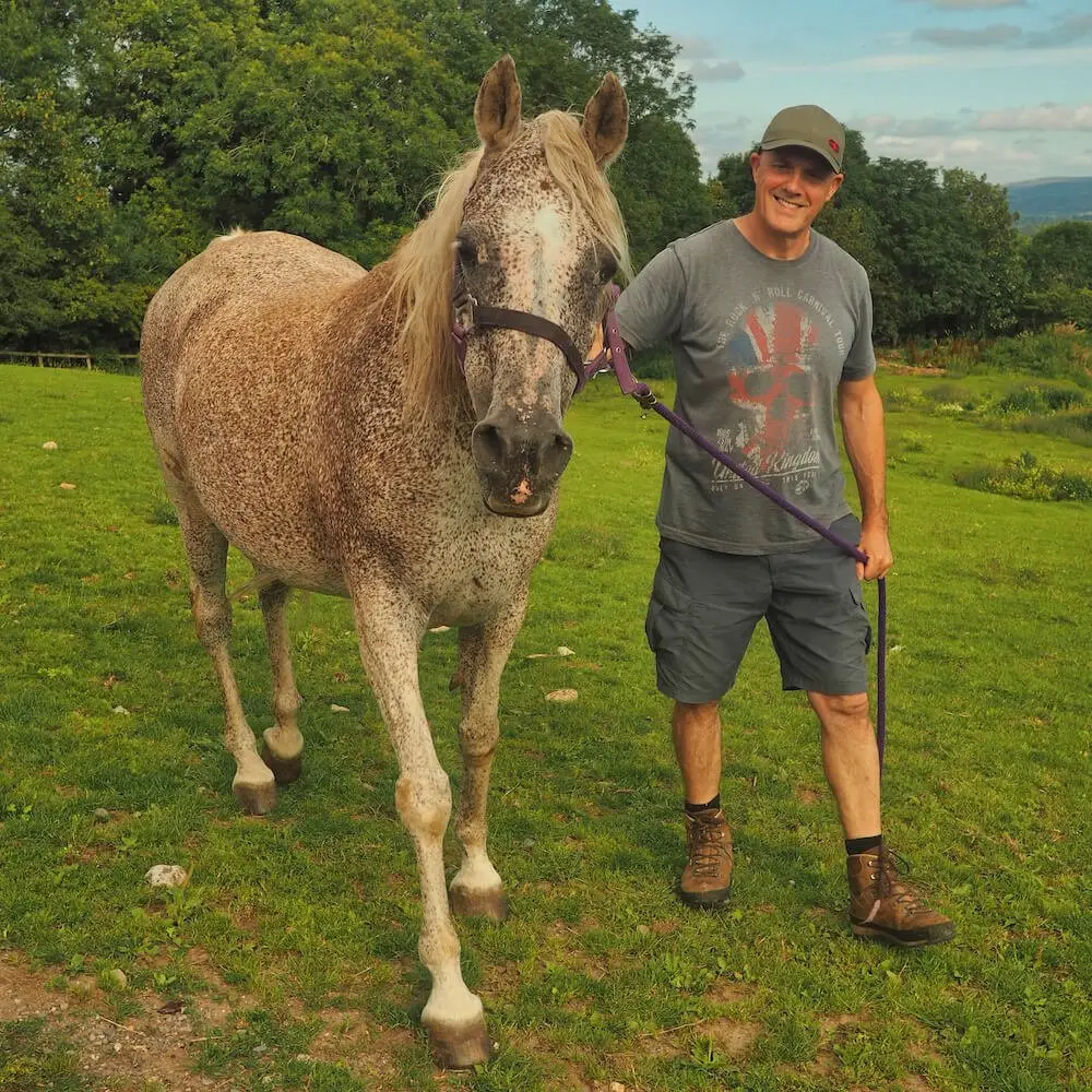 Housesitting in England - Ian working with horses.. A speckled brown and white horse is led by a man in a grey tee-shirt and shorts