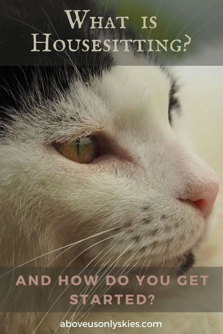 WHAT IS HOUSESITTING AND HOW DO YOU GET STARTED.. What is housesitting, why you should consider it as a means of seeing the world, and how to find your first housesit - a beginner's guide