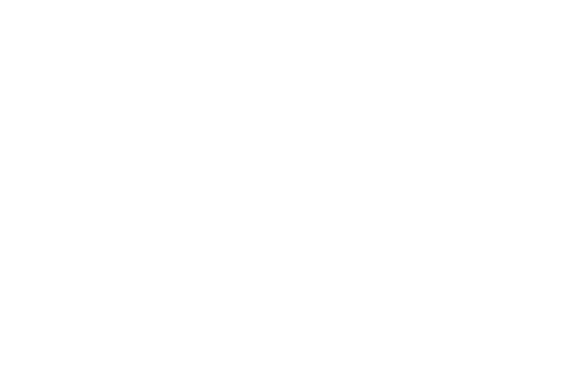 SafetyWing logo feather light