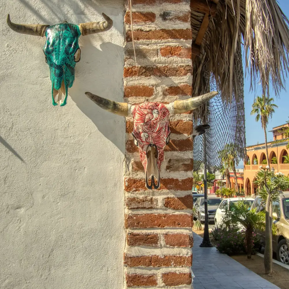 Wall art in Todos Santos