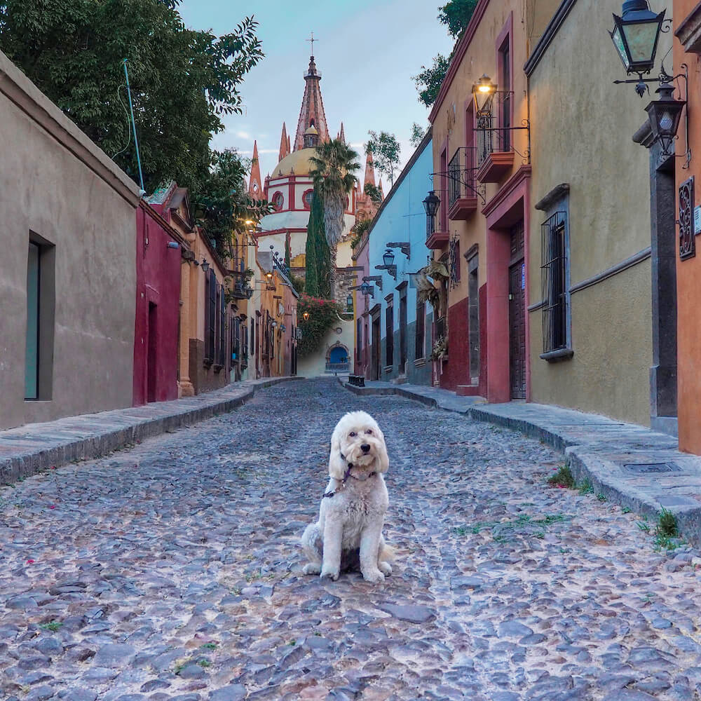 Things to do in San Miguel de Allende - walk along Calle Aldama