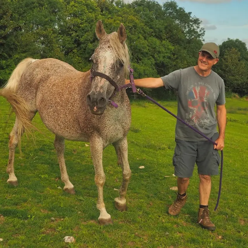 Ian with Ed What is house sitting - Ian with Ed