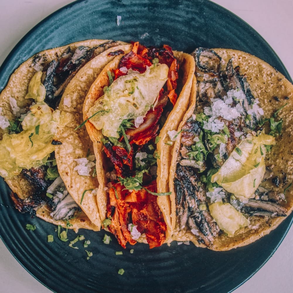 3 tacos with separate fillings viewed on one plate from above