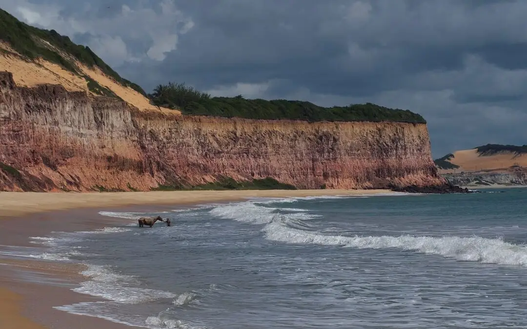 The Magnificent Beaches Of Pipa Brazil: A Complete Guide