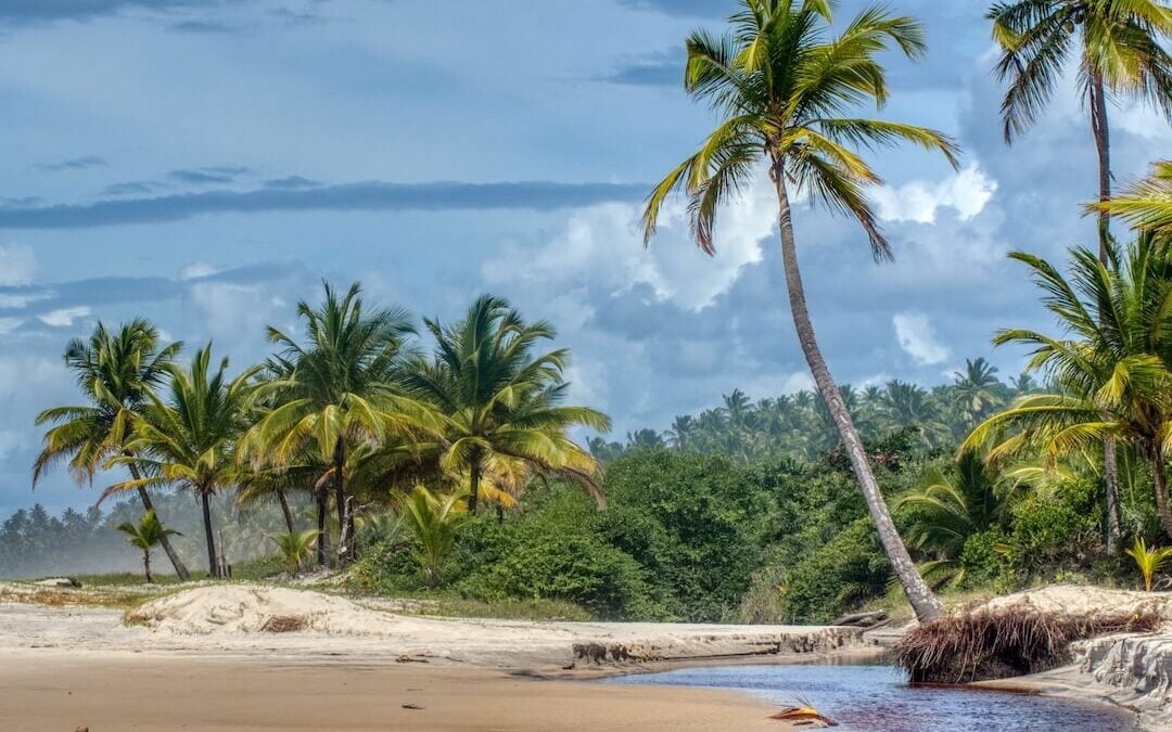 Itacare Bahia: A Tropical Paradise With Added Chocolate