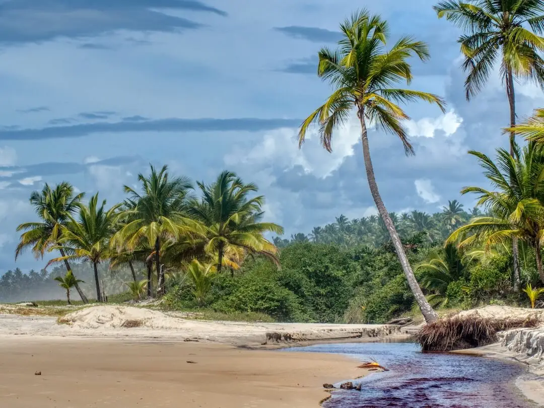 Itacarezinho Beach Bahia Brazil Itacare
