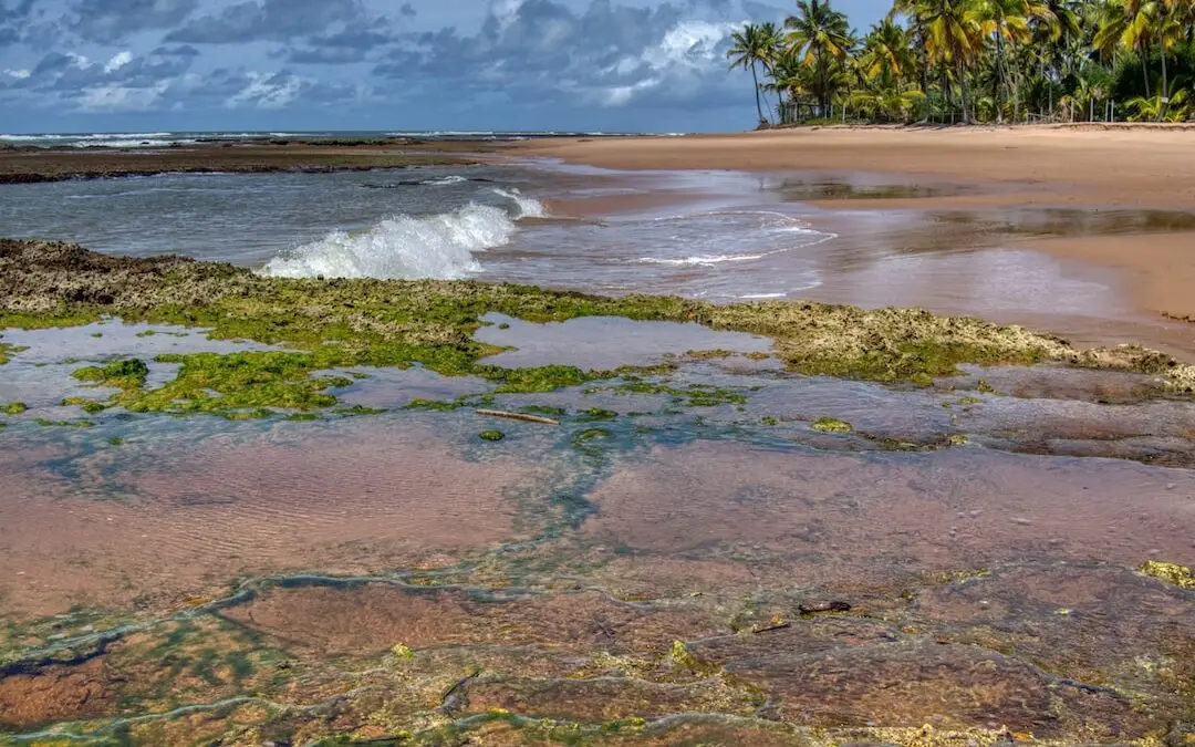 The Incredible Taipu de Fora & Marau Peninsula
