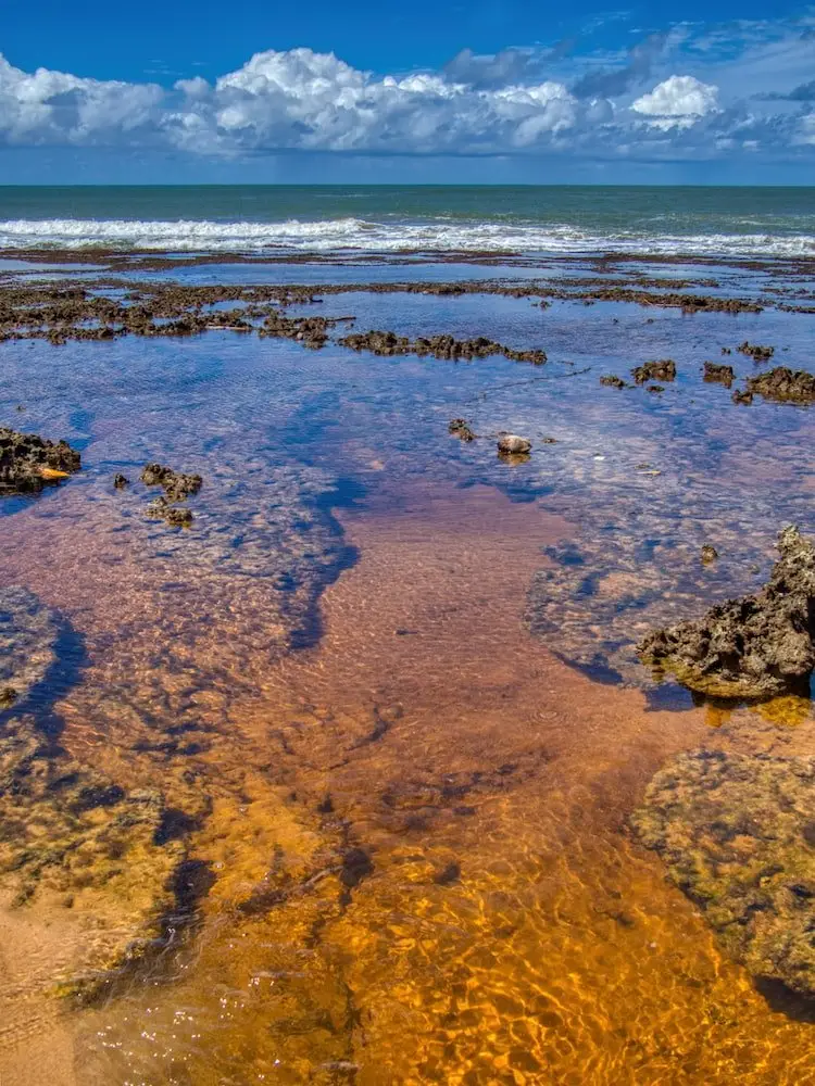 Tannin coloured rock pools