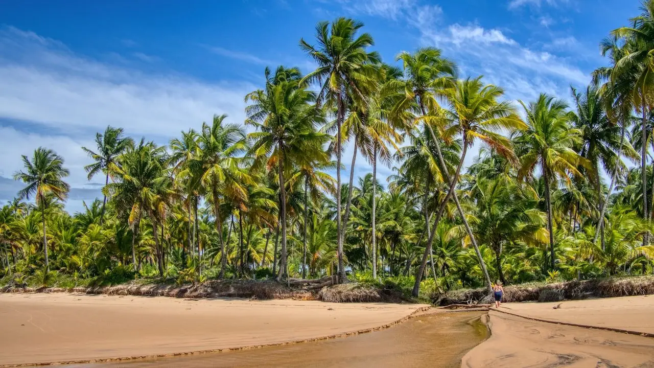 The river spills out onto the beach