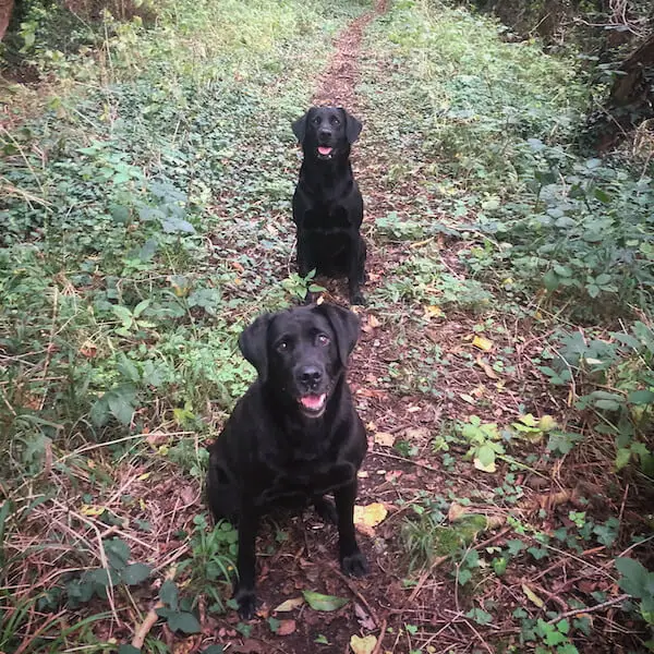 Ted and Ren Oswestry