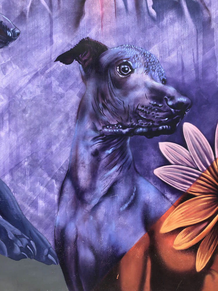 Painting of a purple-coloured Mexican hairless dog looking to the side
