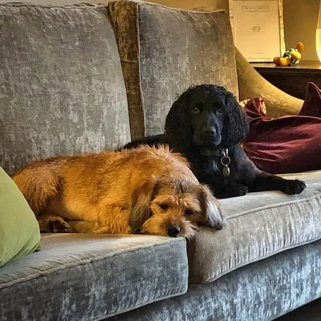 BETTY AND ARCHIE