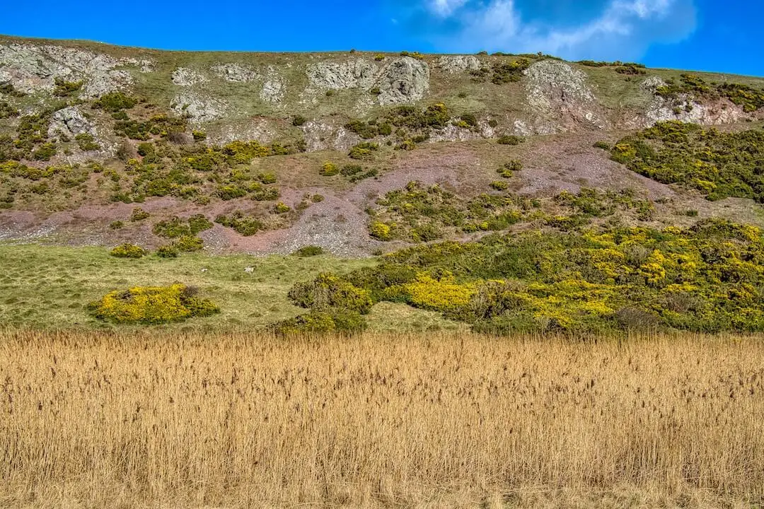 Mire Loch - St Abbs Head Scotland Reeds in the foreground and a rocky hillside in the background
