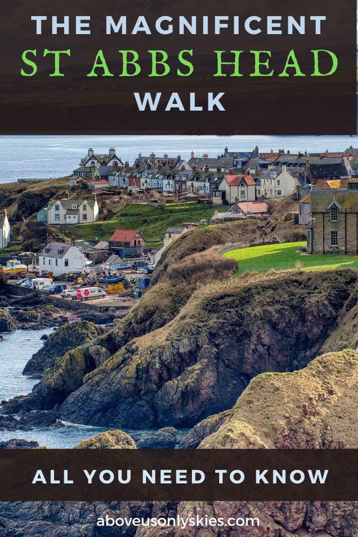 St Abbs is a haven for lovers of diving, fresh crab sandwiches and spectacular clifftop walks. Not to mention puffins on the lovely St Abbs Head walk