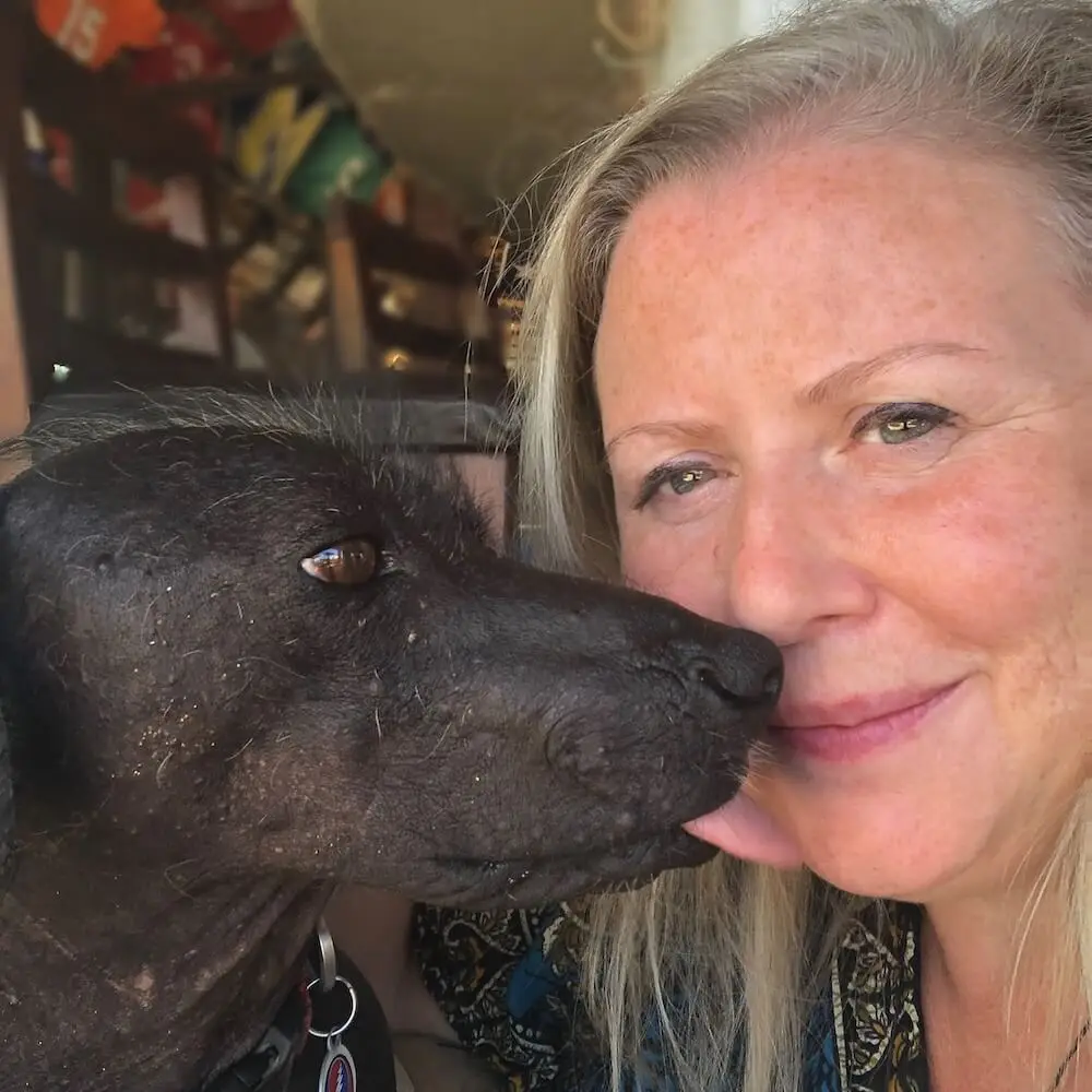 Nicky with a black Mexican hairless dog