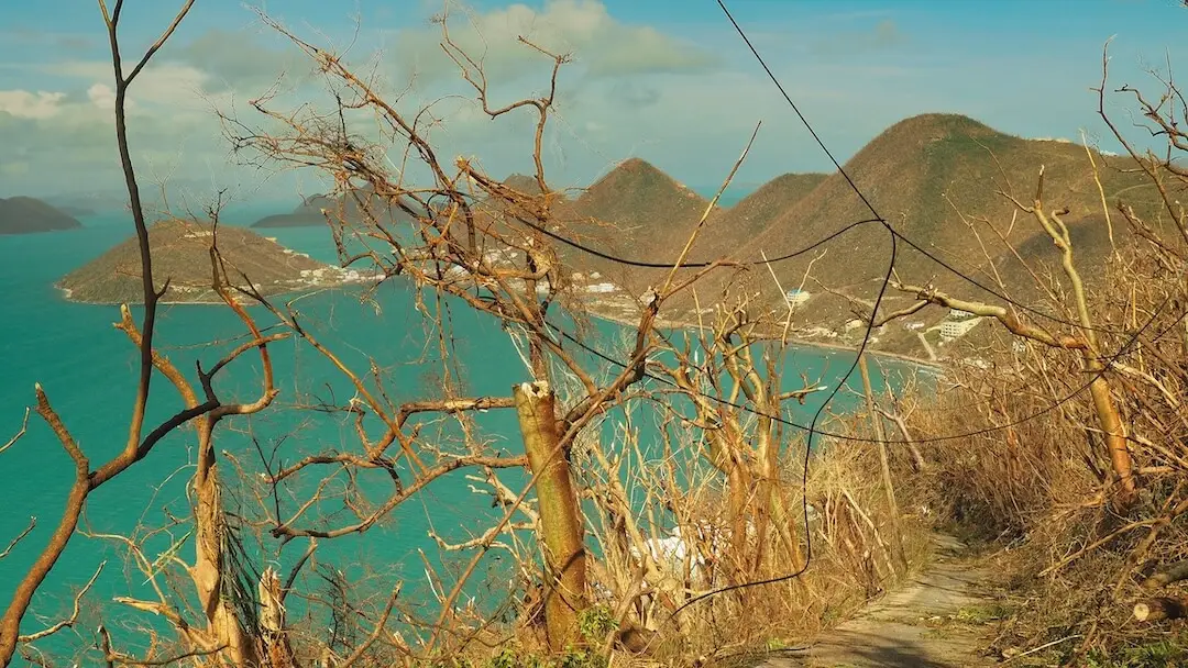 Road on our hill 2 Bare trees and rubble block a road with a view of the sea in the background