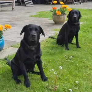Sid and Wilf