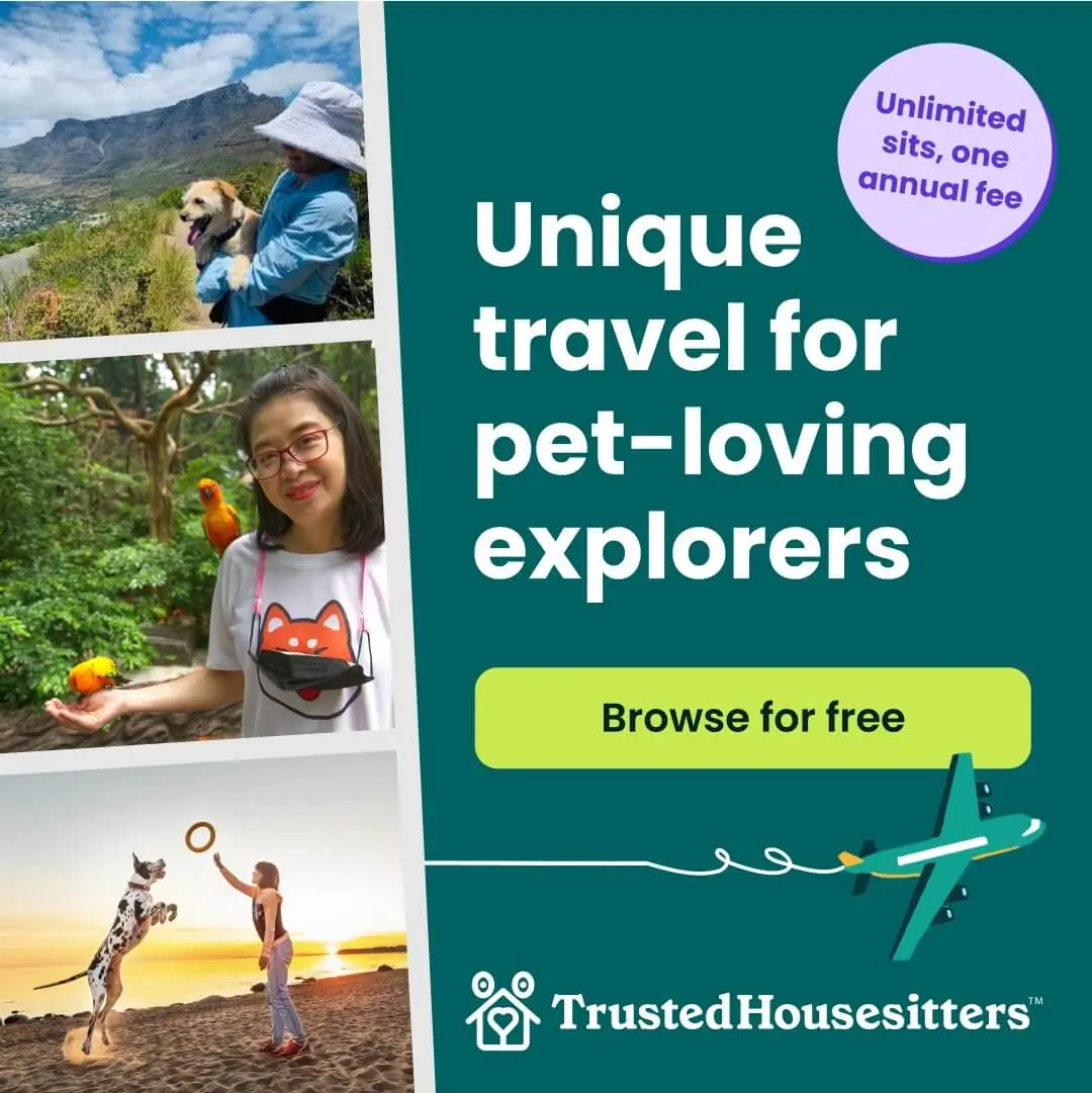 THS banner - unique travel Trusted Housesitters ad