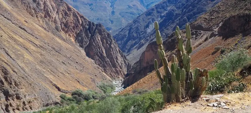 Colca Canyon - Peru - South America Colca Canyon - Peru - South America
