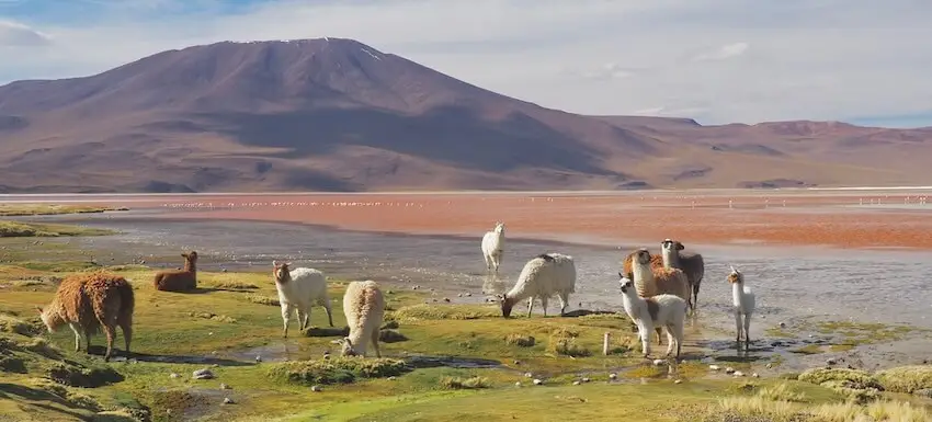 Four Day Odyssey - Uyuni Salt Flats - Bolivia