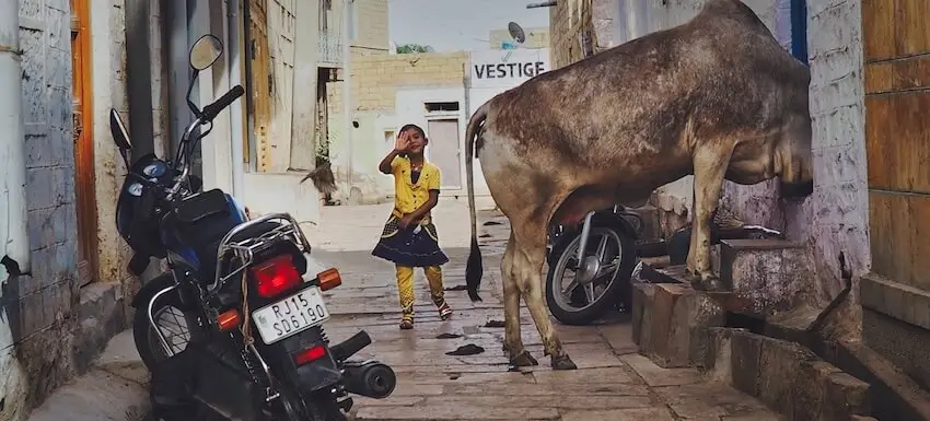 Rajasthan - India - Asia