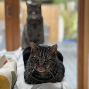 Jasper and Jinks