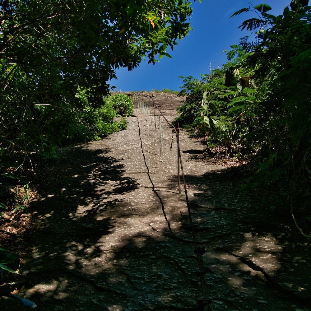 A steep rockface with a handrail climbs out of a forest