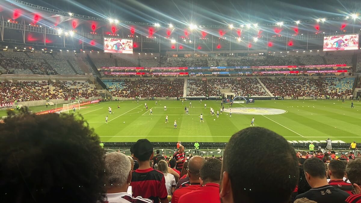View over the heads of people of a football pitch inside a stadium